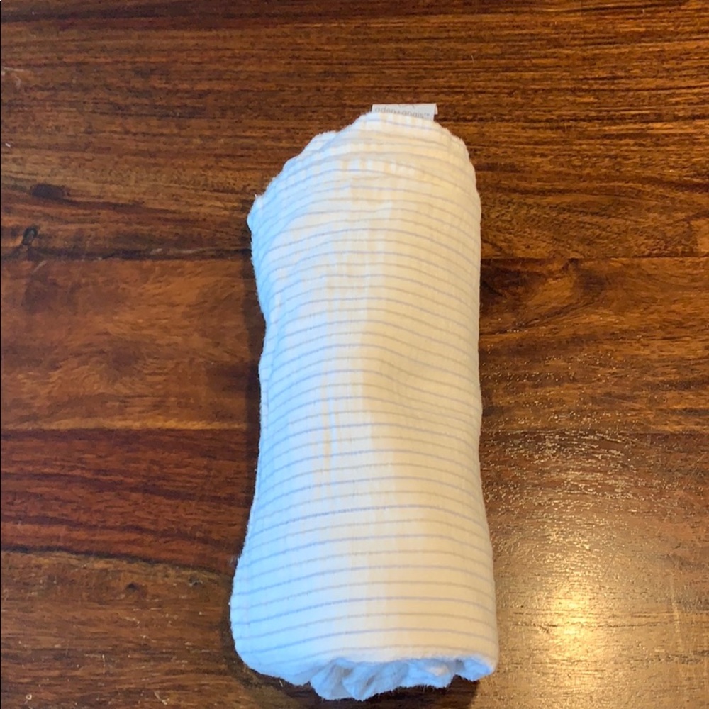 Aden+Anais flannel swaddle.